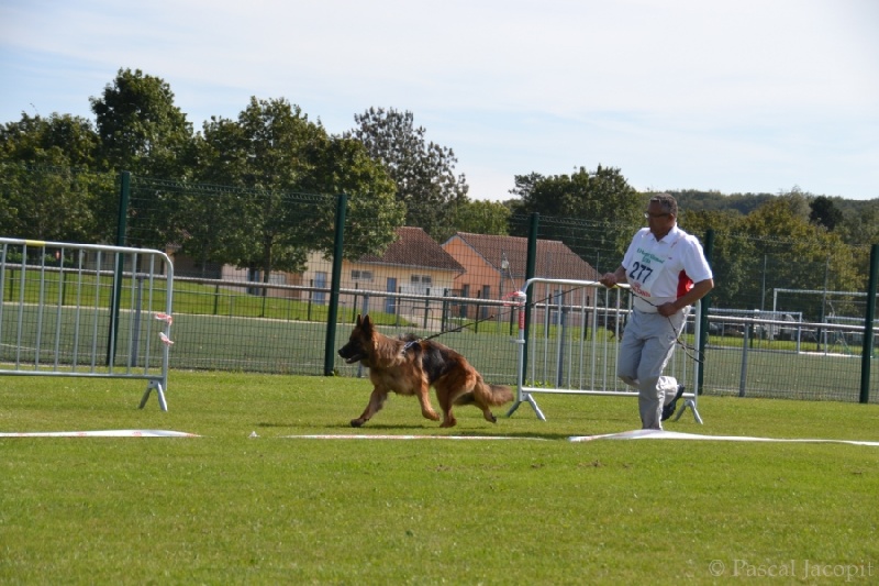 Publication : Du Château Les Jamnets