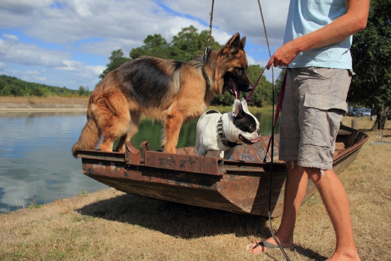 Publication : Du Château Les Jamnets