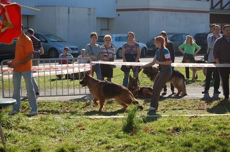 Publication : Du Château Les Jamnets