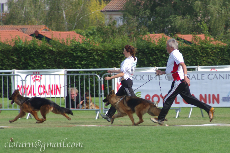 Publication : Du Château Les Jamnets