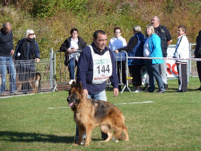 Publication : Du Château Les Jamnets