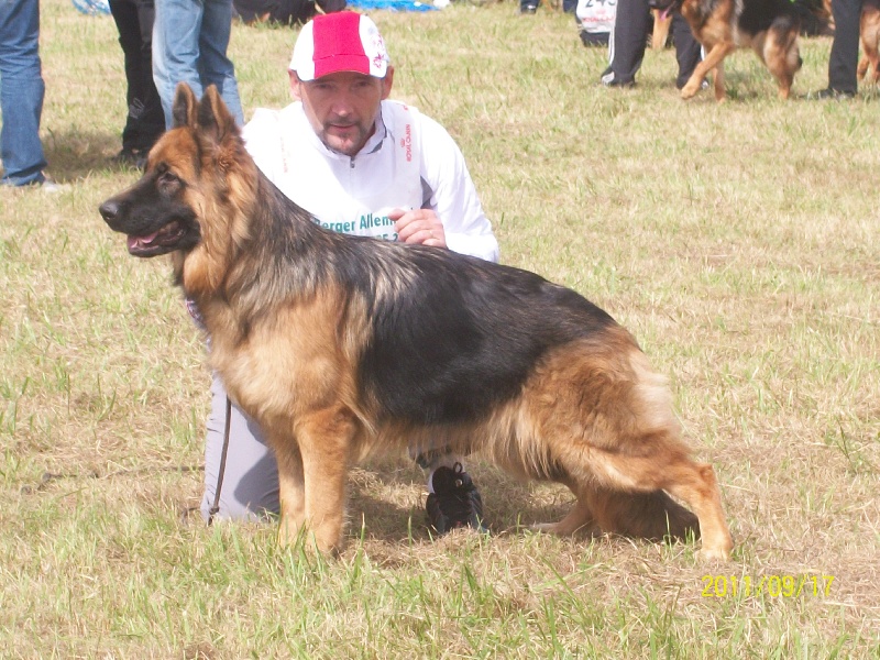 Publication : Du Château Les Jamnets