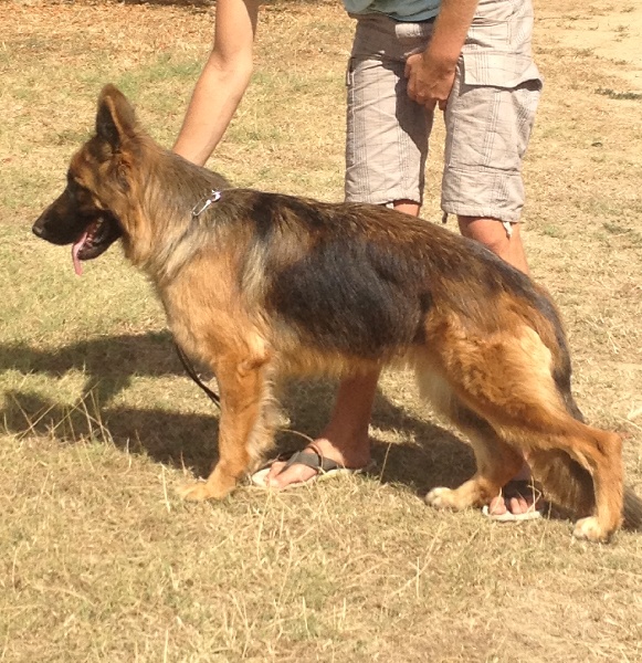 Publication : Du Château Les Jamnets