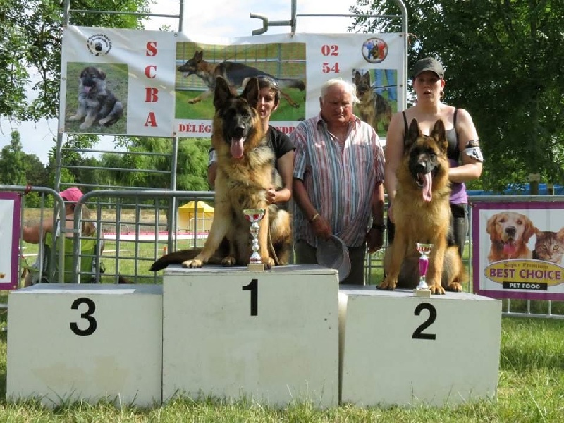 CH. Intox du val d'Anzin - 1er Très prometteur