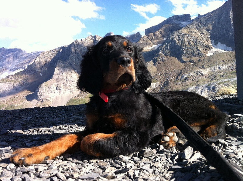 Publication : De L'Abbaye De Belleperche Auteur : Roque