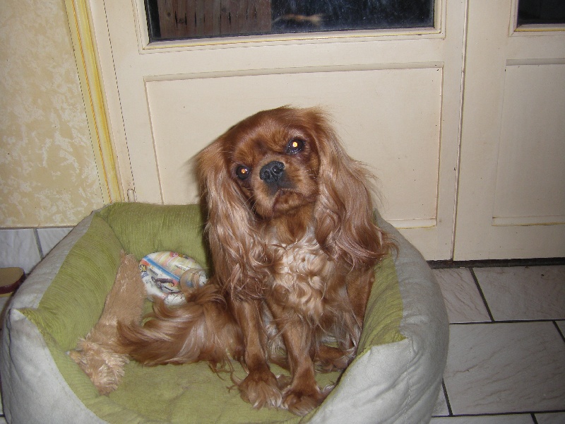 Publication : De La Vallee D'Ondine Auteur : de la vallée d'ondine