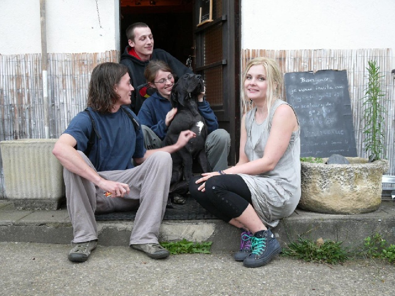 Publication : Des Fees De Celestia