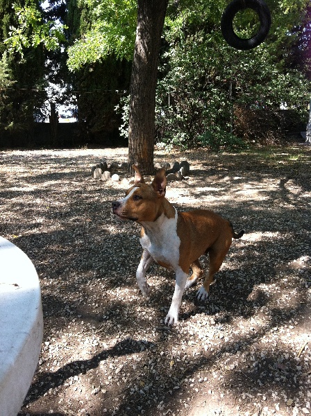 Publication : Du Royaume D'Anubis