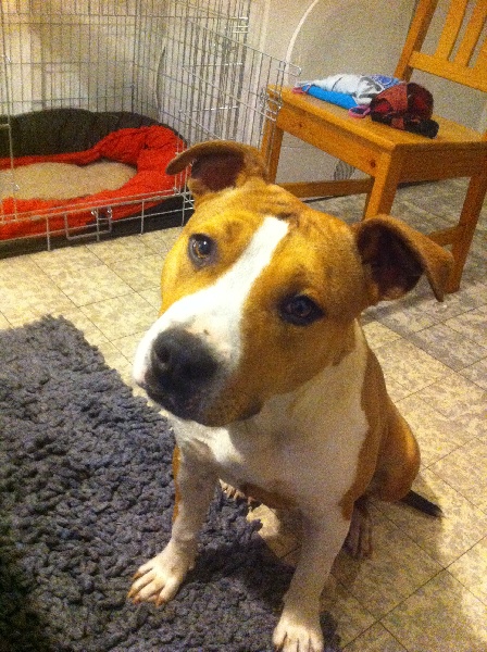 Publication : Du Royaume D'Anubis