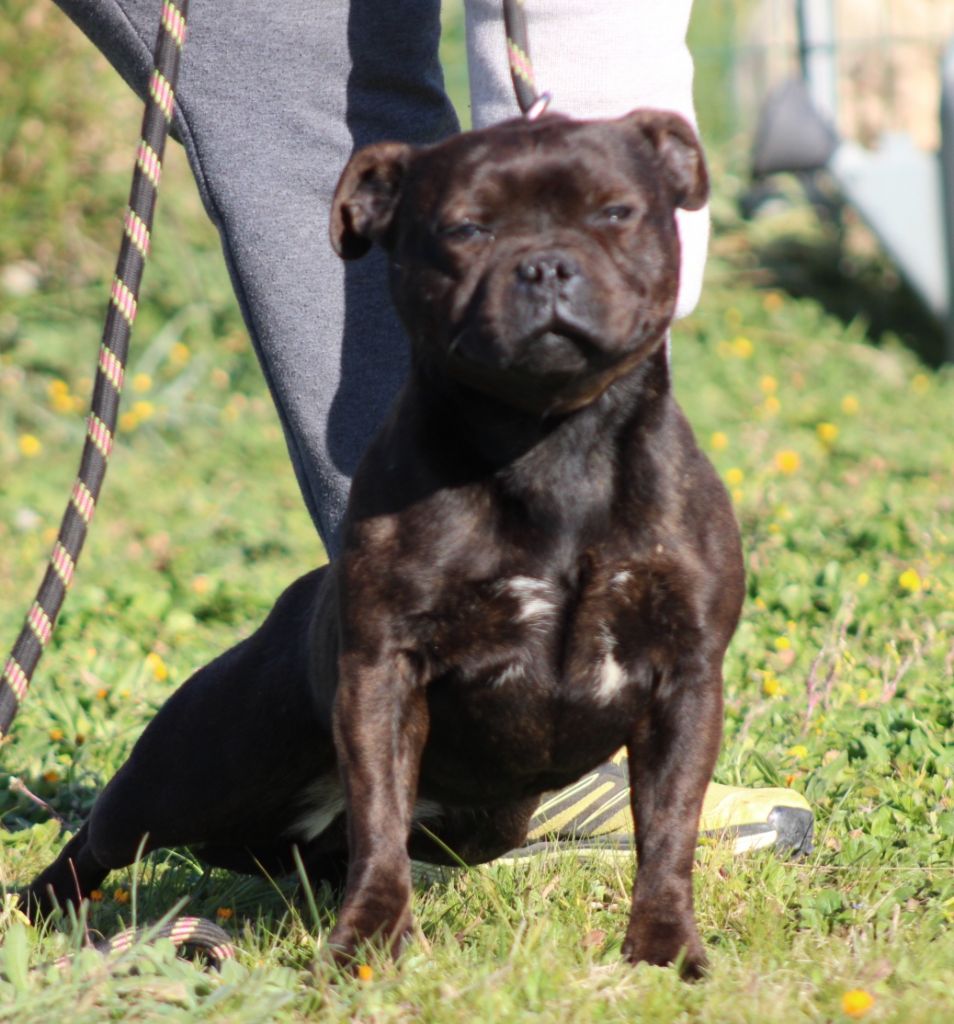 Publication : De La Tendre Puissance