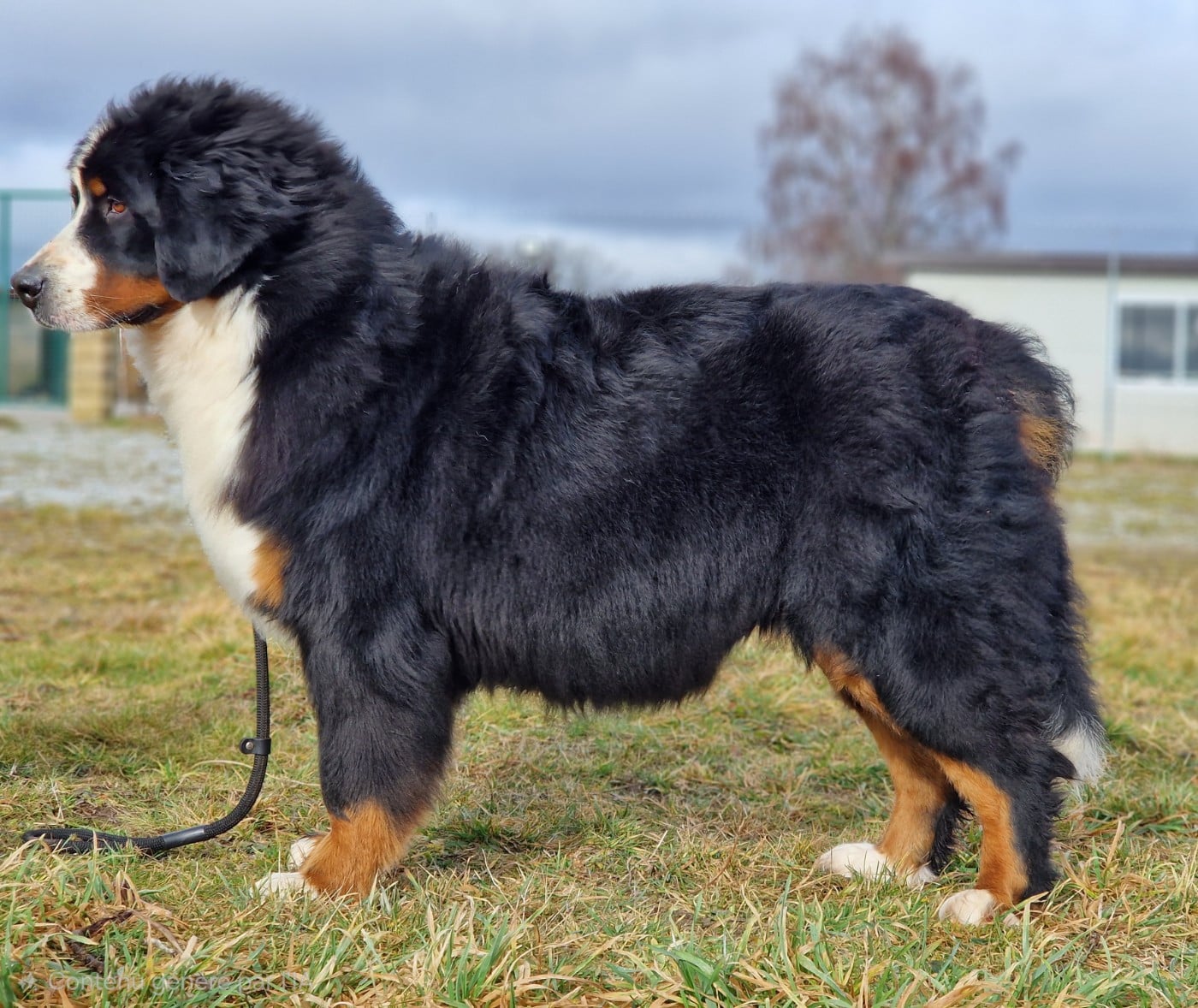 Uv De La Colline D'Eole