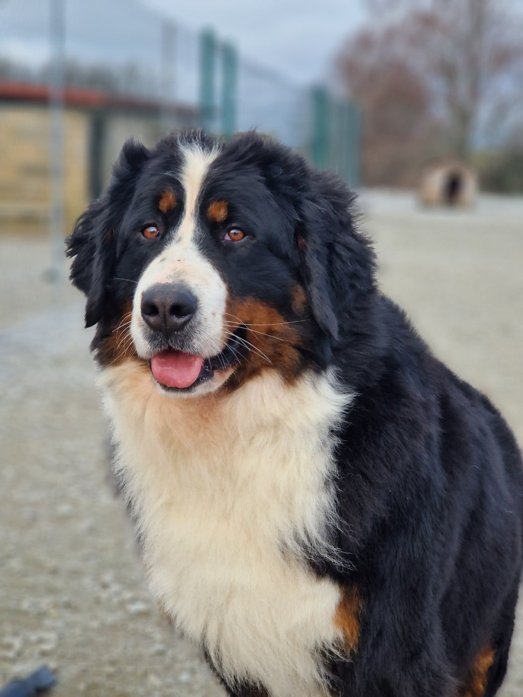Uv De La Colline D'Eole