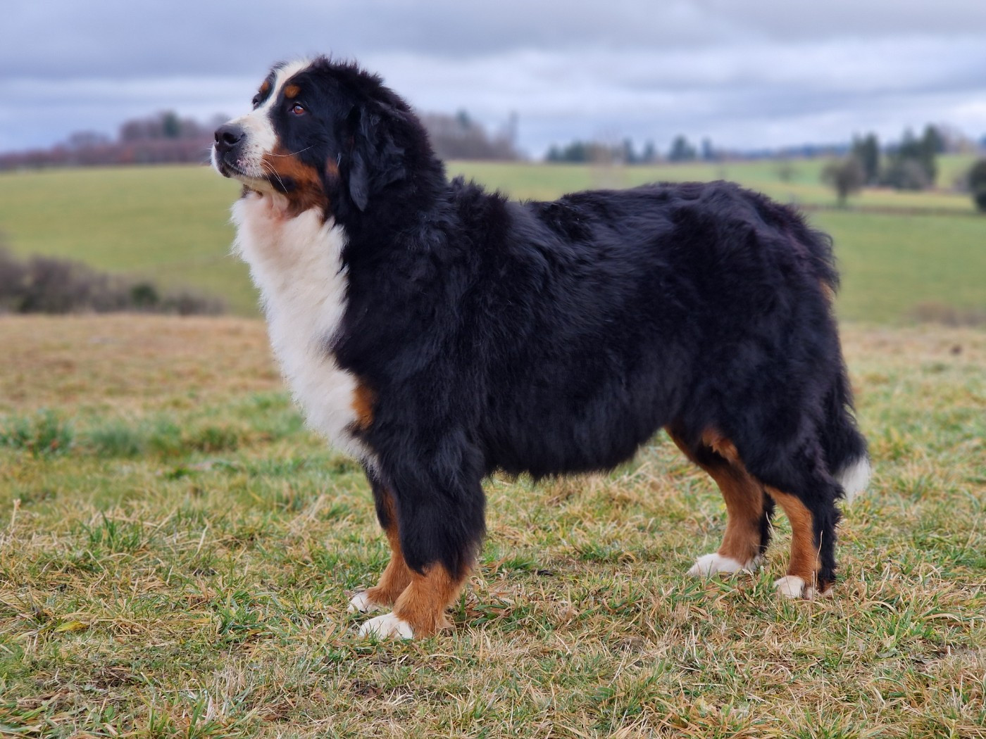 Uv De La Colline D'Eole