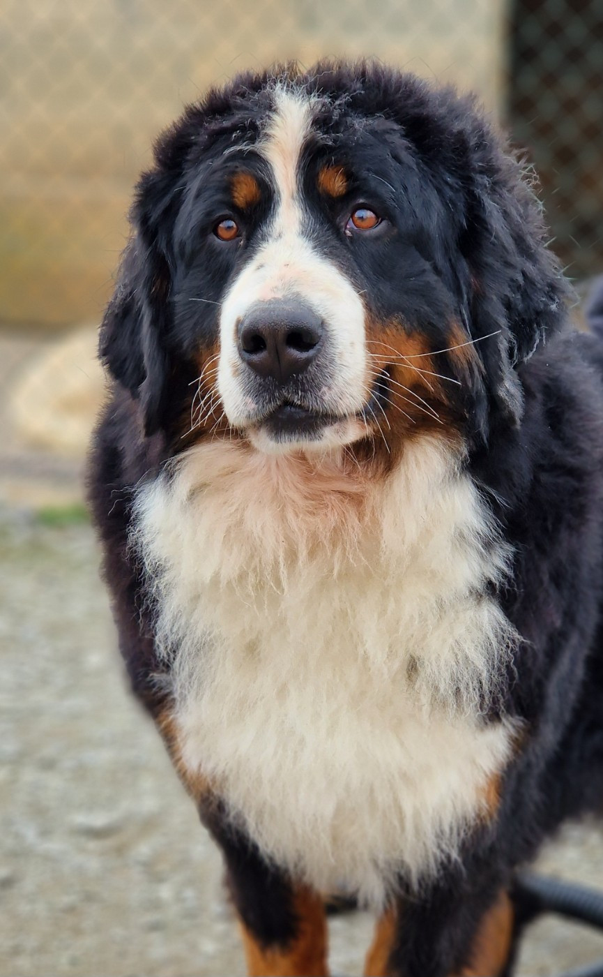 Uv De La Colline D'Eole