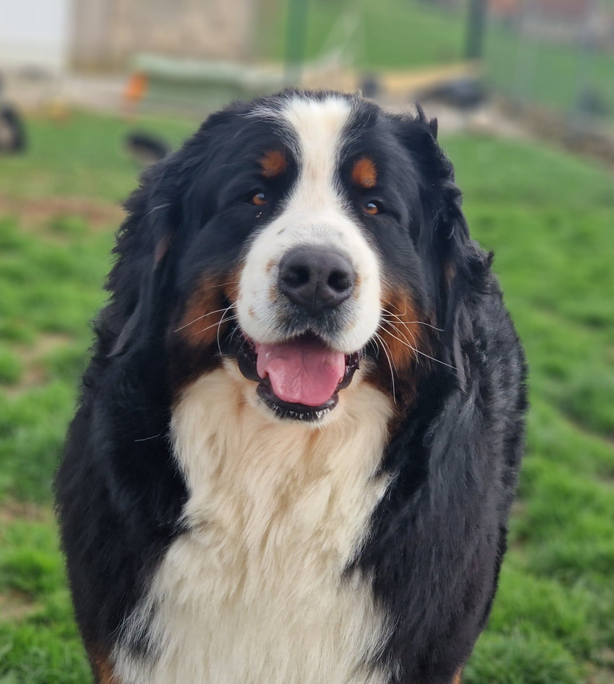 Un d ces quatre De La Colline D'Eole
