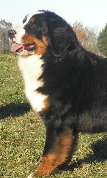 Happy end De La Colline D'Eole