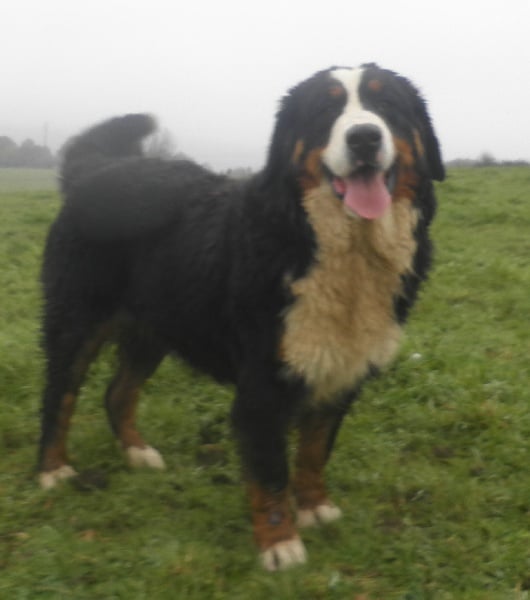 Happy end De La Colline D'Eole