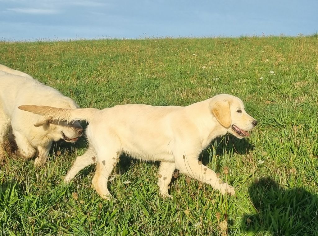 Abracadabra De La Colline D'Eole