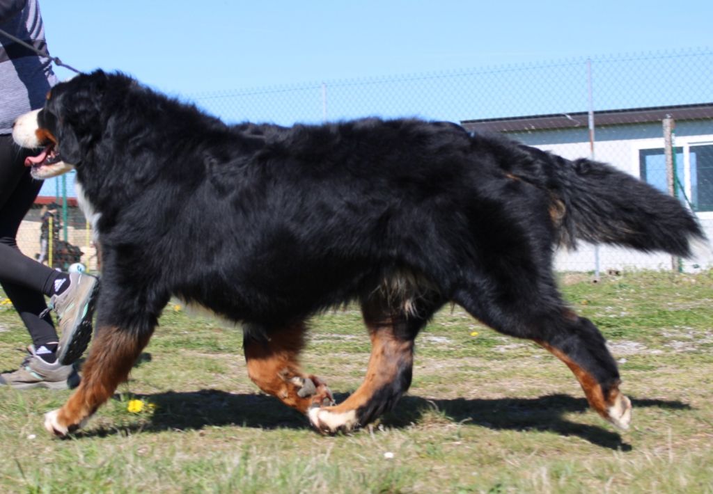 Un d ces quatre De La Colline D'Eole