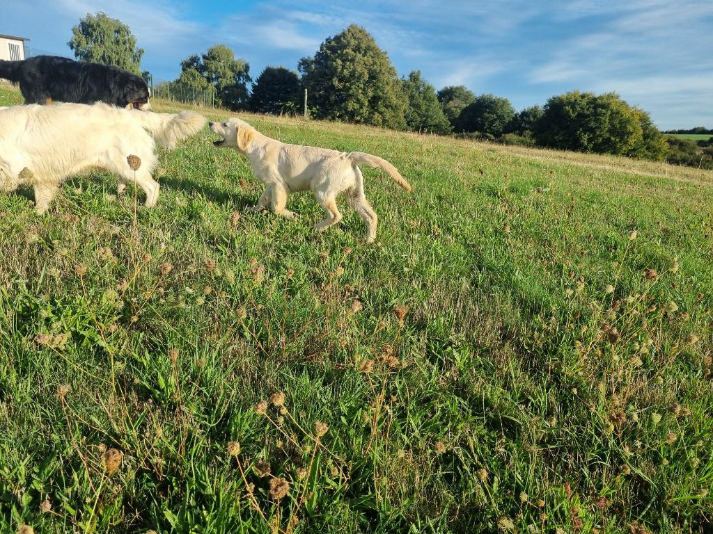Abracadabra De La Colline D'Eole