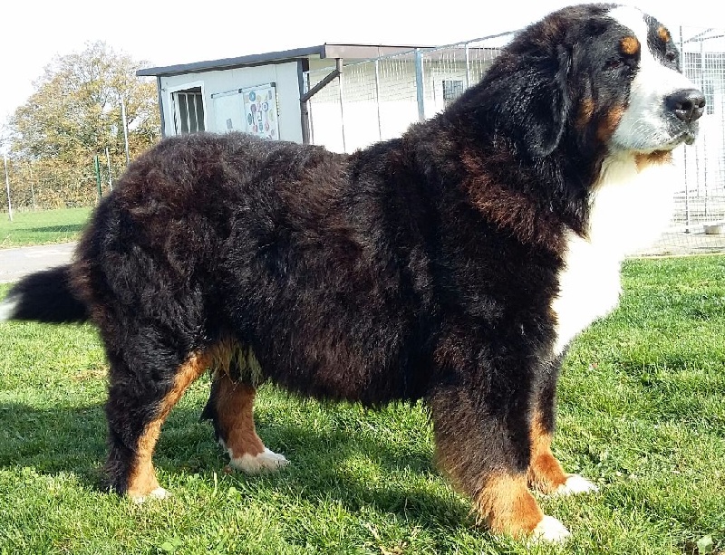 Happy end De La Colline D'Eole