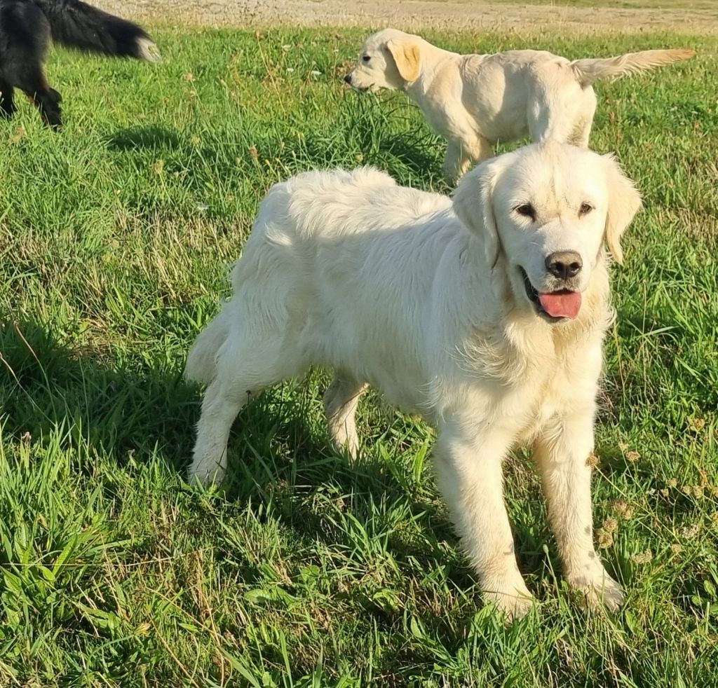 Verdi De La Colline D'Eole