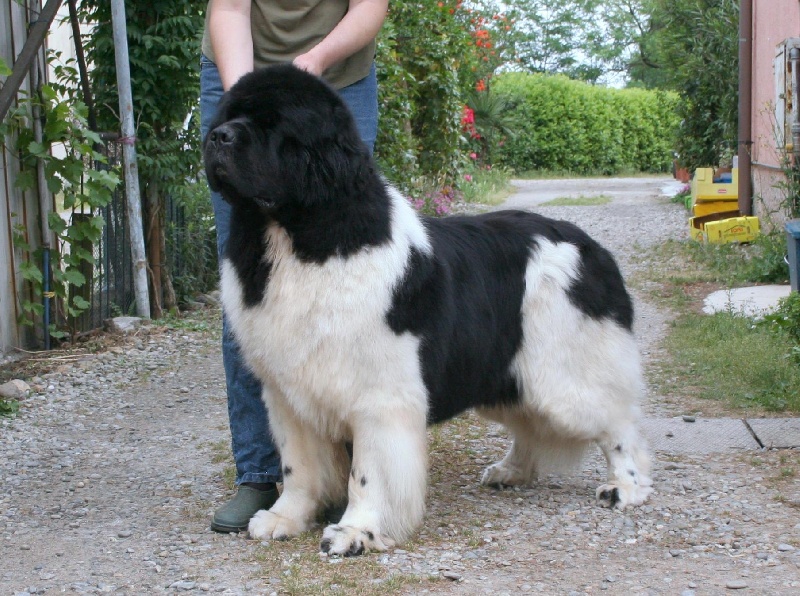 Publication : di mareland