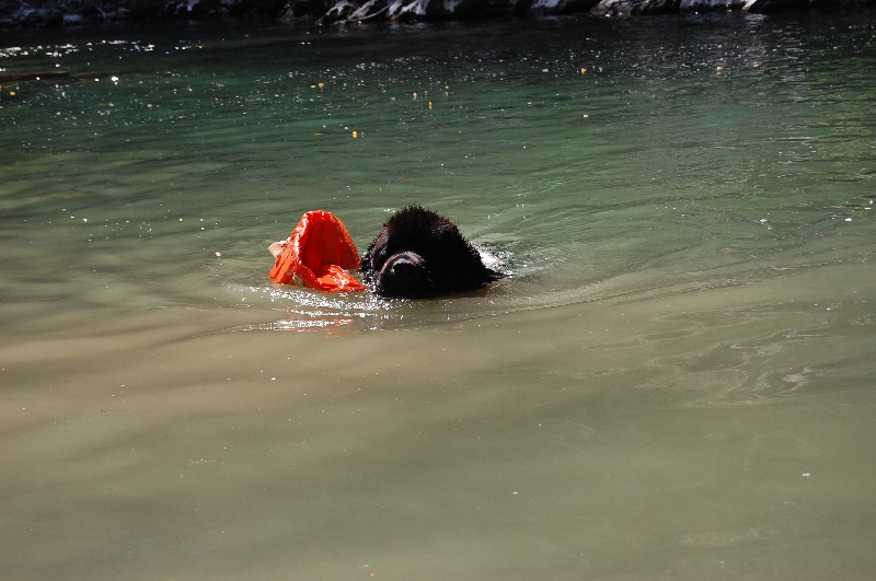 Publication : di mareland