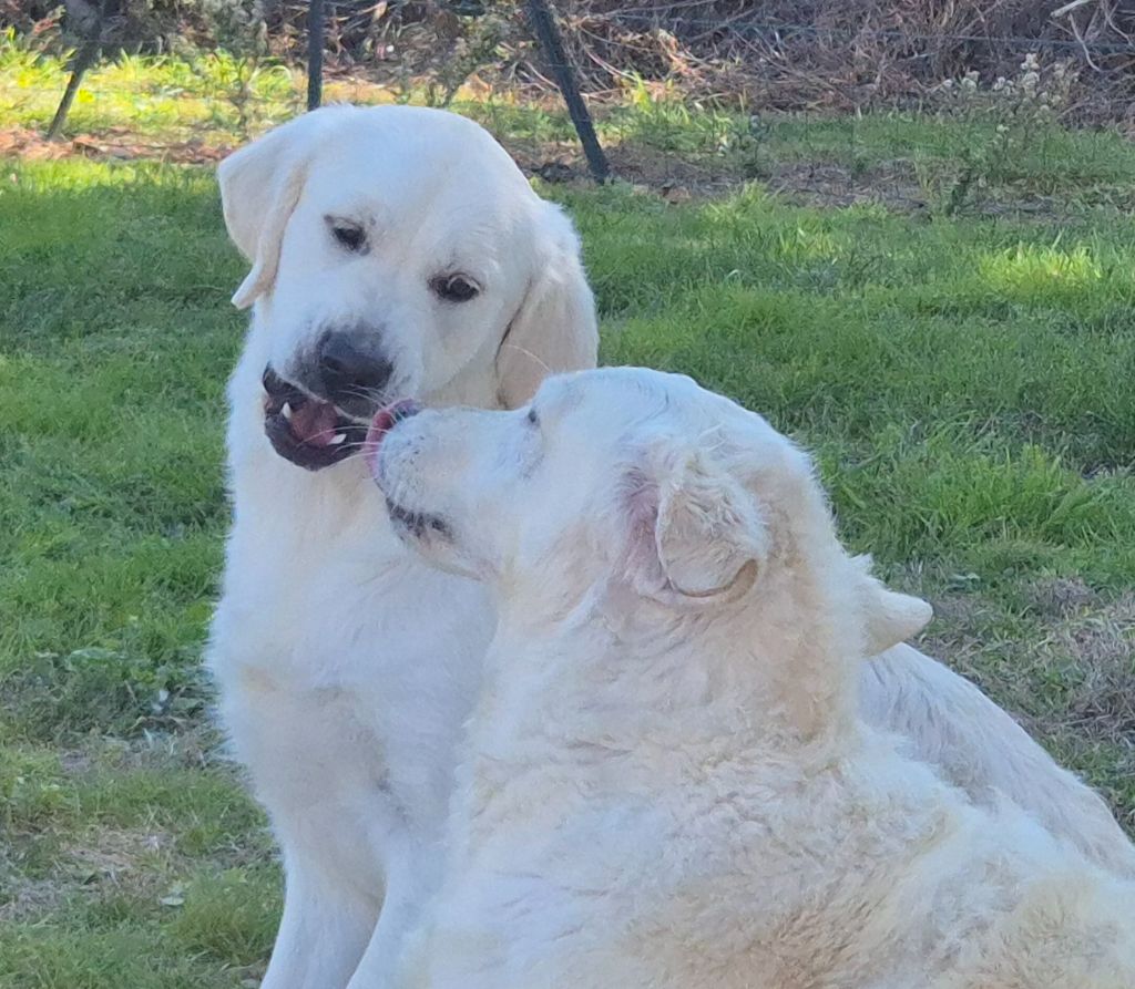 Aukena Des Hauts De L'Embellie