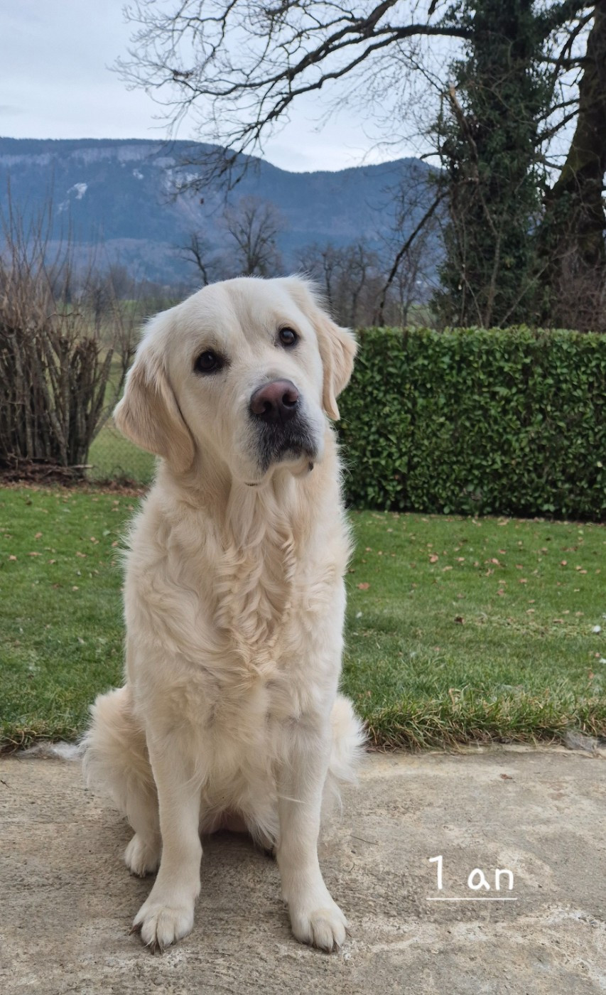 Aukena Des Hauts De L'Embellie