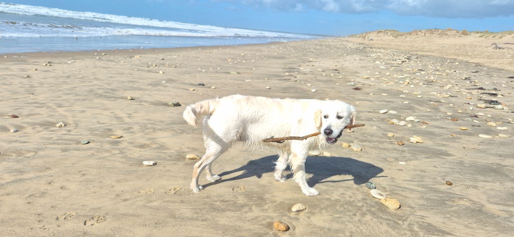 Aukena Des Hauts De L'Embellie