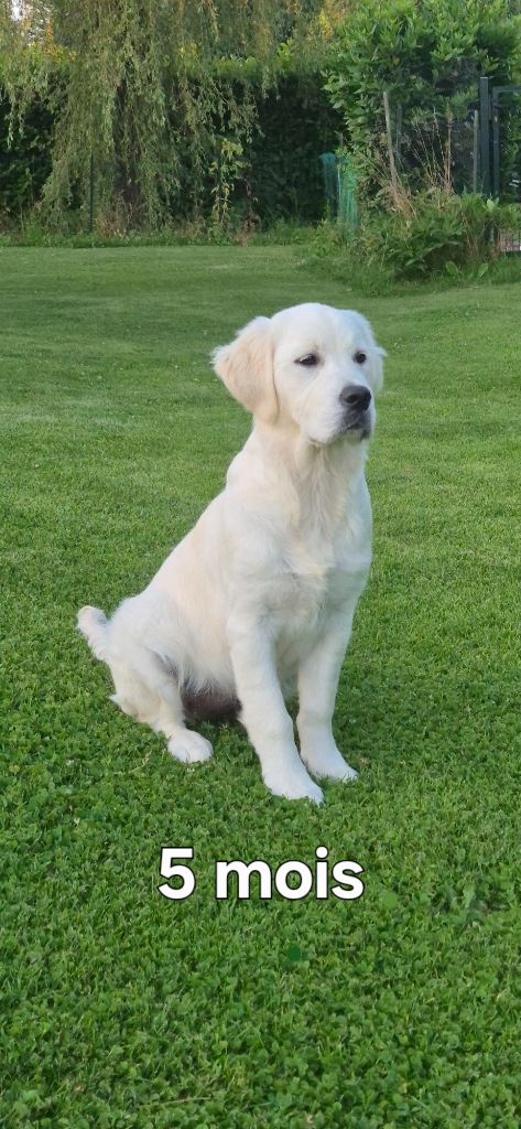 Aukena Des Hauts De L'Embellie