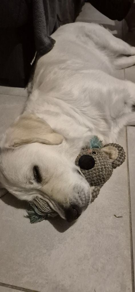 Aukena Des Hauts De L'Embellie