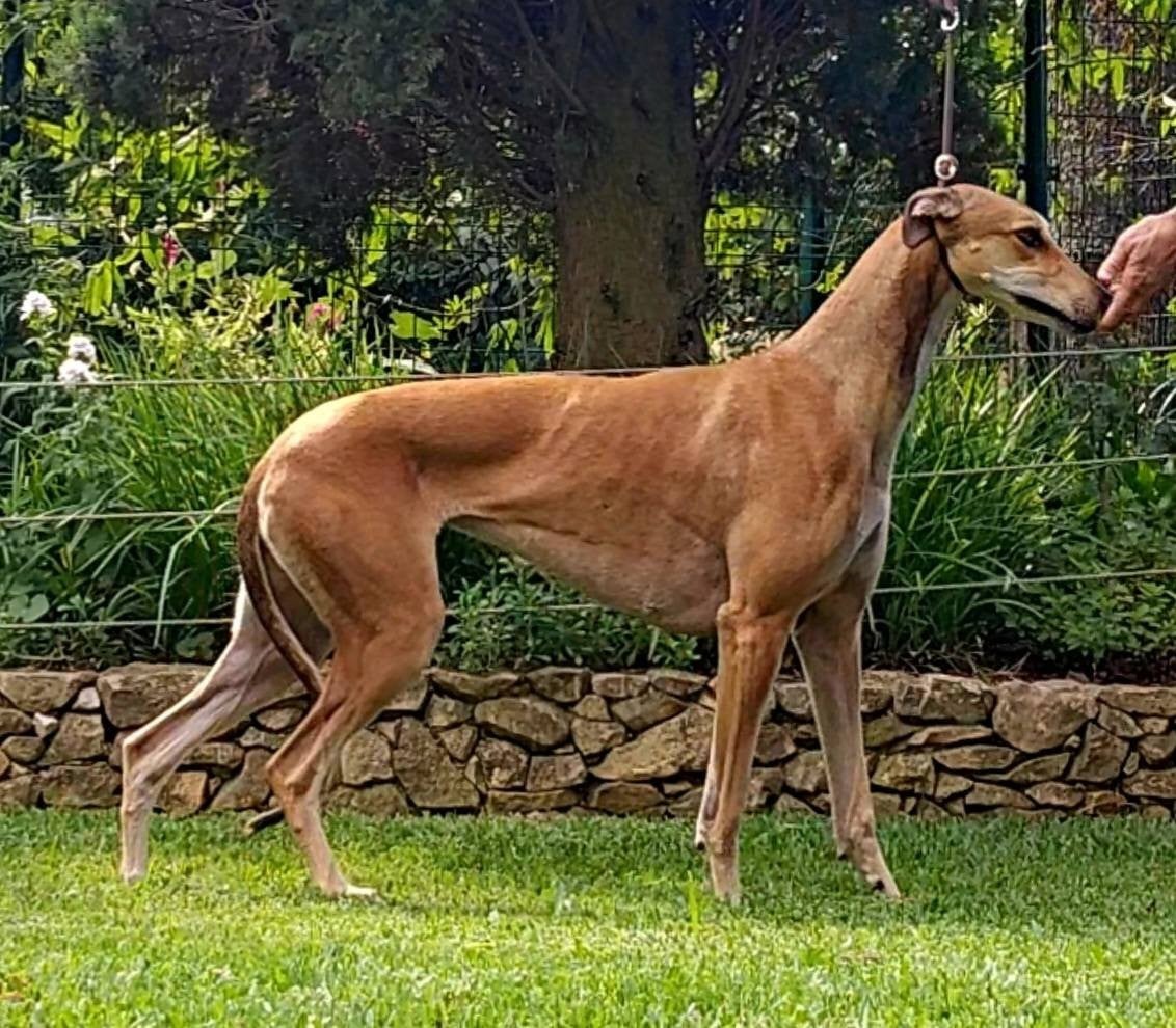 Windrock Play with fire