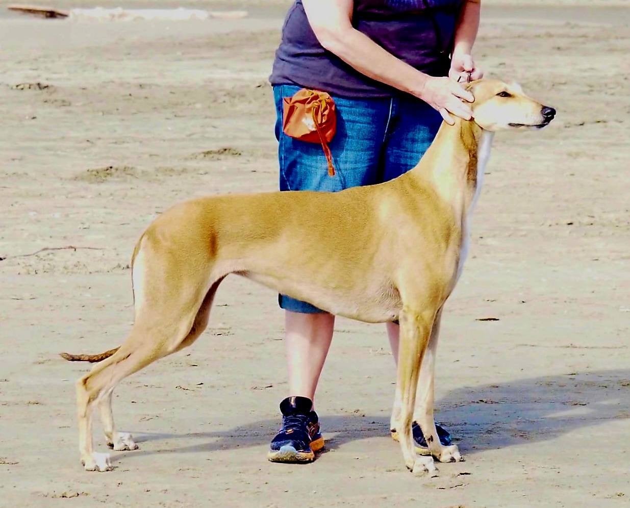 Windrock Play with fire