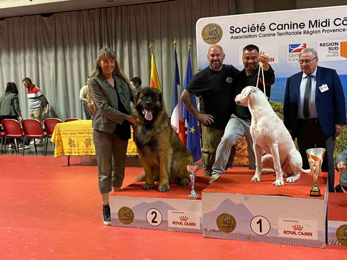 Valio viserion des dragons de provence - 1 er excellent classe intermédiaire CACS meilleur de race 2 ème du groupe 2