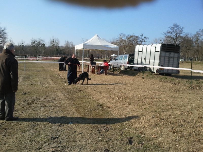 Faunix argente du mont des croisettes - coupe