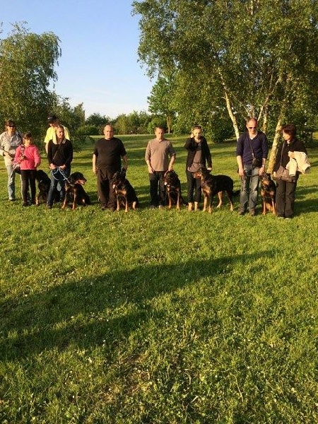 Faunix argente du mont des croisettes - coupe 114 POINTS