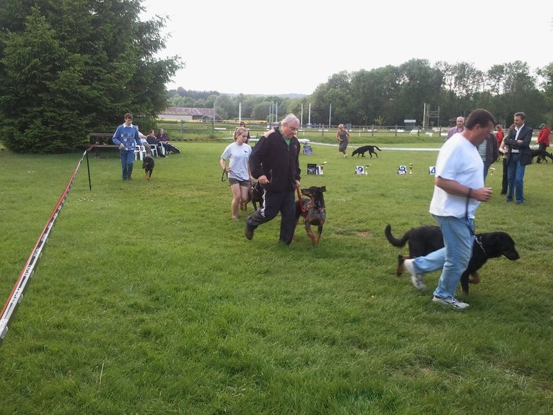 Faunix argente du mont des croisettes - EXCELLENT