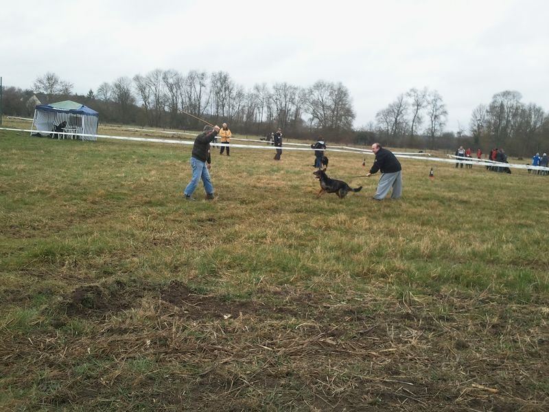 Faunix argente du mont des croisettes - medaille