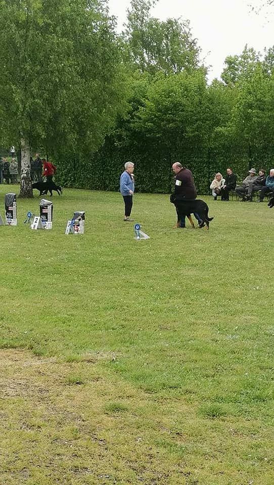 Godzilla Du Domaine De Gaïa - medaille
