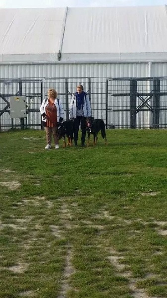 Godzilla Du Domaine De Gaïa - medaille