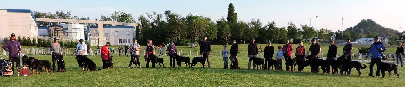 Faunix argente du mont des croisettes - Medaille