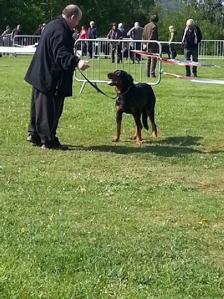 Godzilla Du Domaine De Gaïa - Medaille COTATION 4