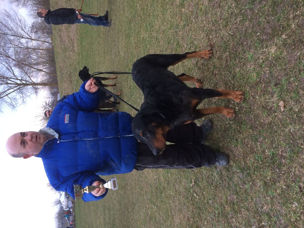 Godzilla Du Domaine De Gaïa - COUPE