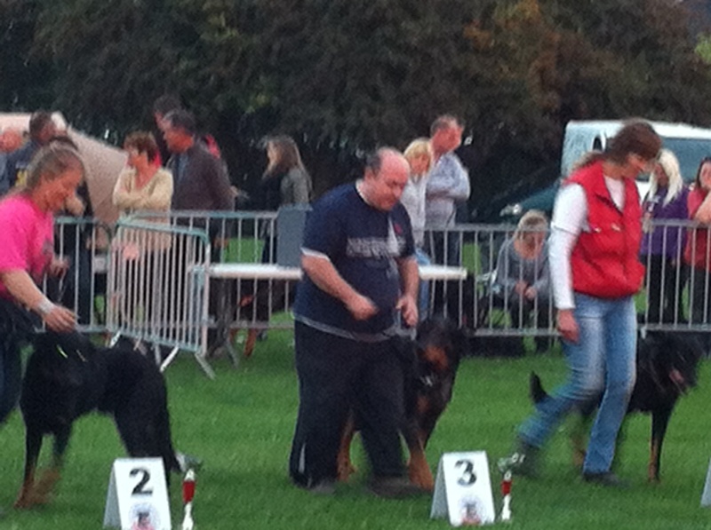 Godzilla Du Domaine De Gaïa - COTATION 3