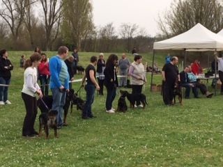 Godzilla Du Domaine De Gaïa - Medaille