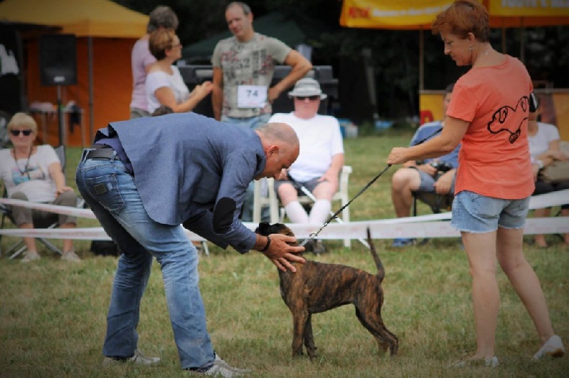 Lucybelle De La Belgariade - 2eme Très Prometeur