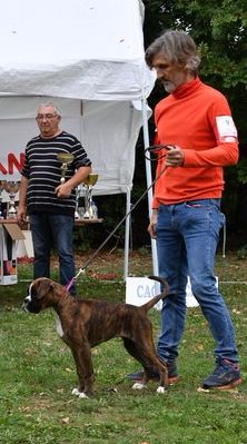 Nine à la folie De La Belgariade - 1er Très prometteur