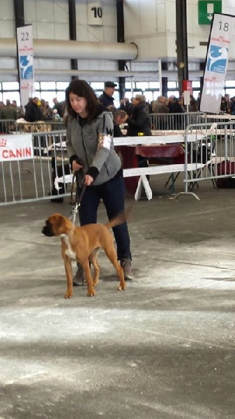 Jaime De La Belgariade - 3eme Très Prometeur